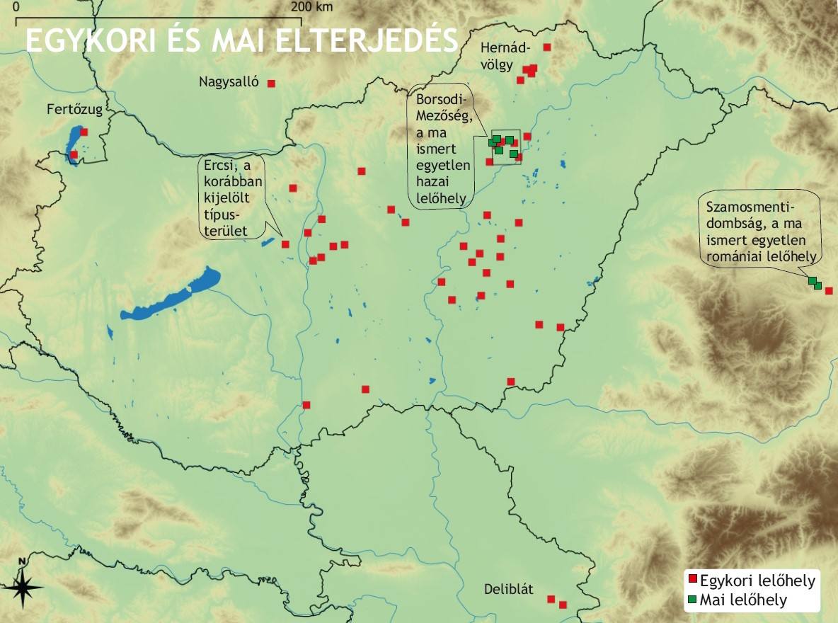 26. kép A szöcskeegér egykori elterjedési területe.jpg